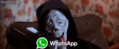 Resultado de imagen para whatsapp gif